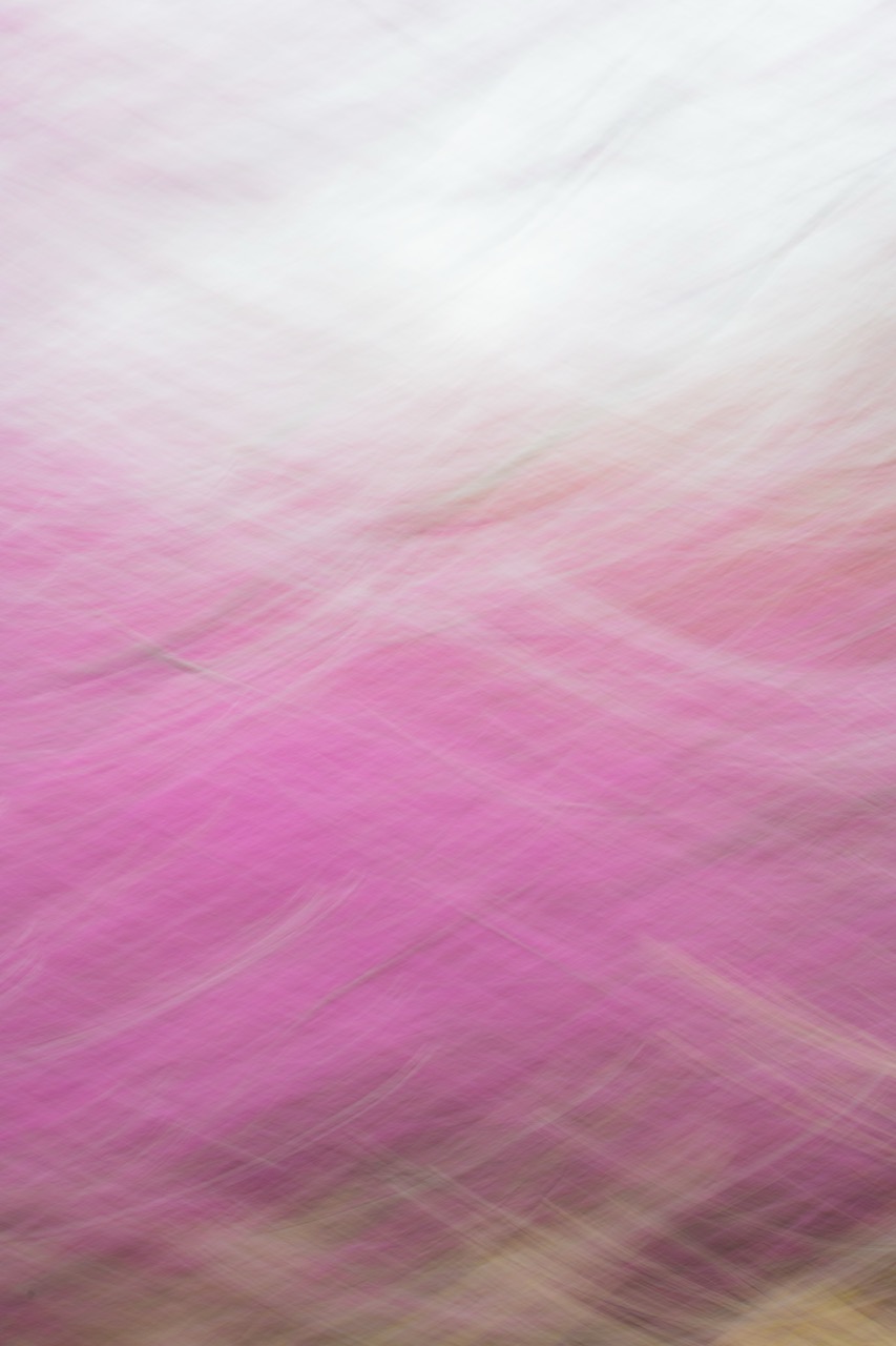 © Kayla Crouch | Duality of Life