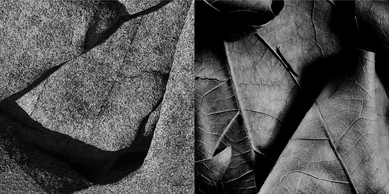 © Kenneth Collins | Ephemeral Eonian