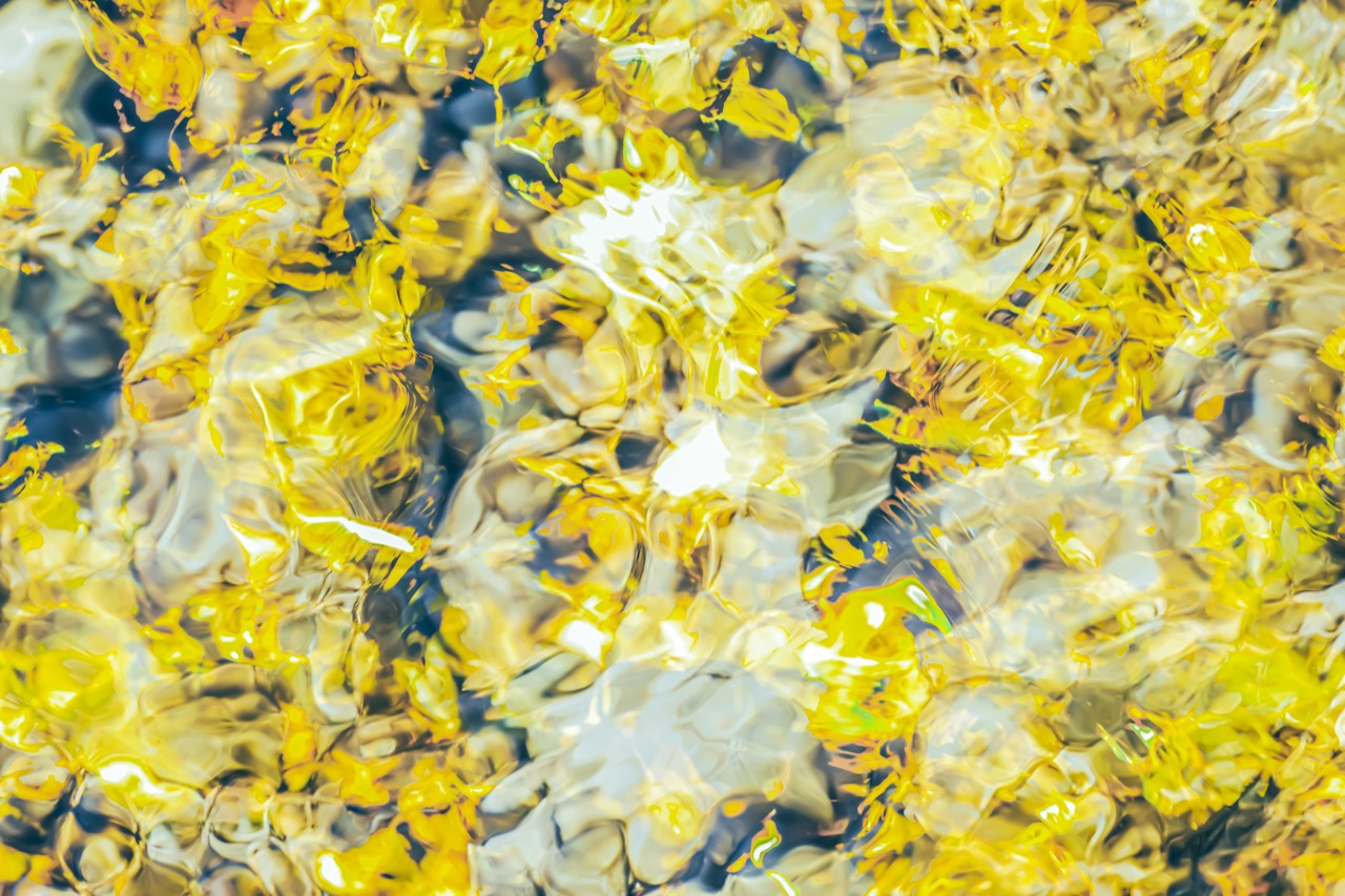 © Robin Stewart | Water