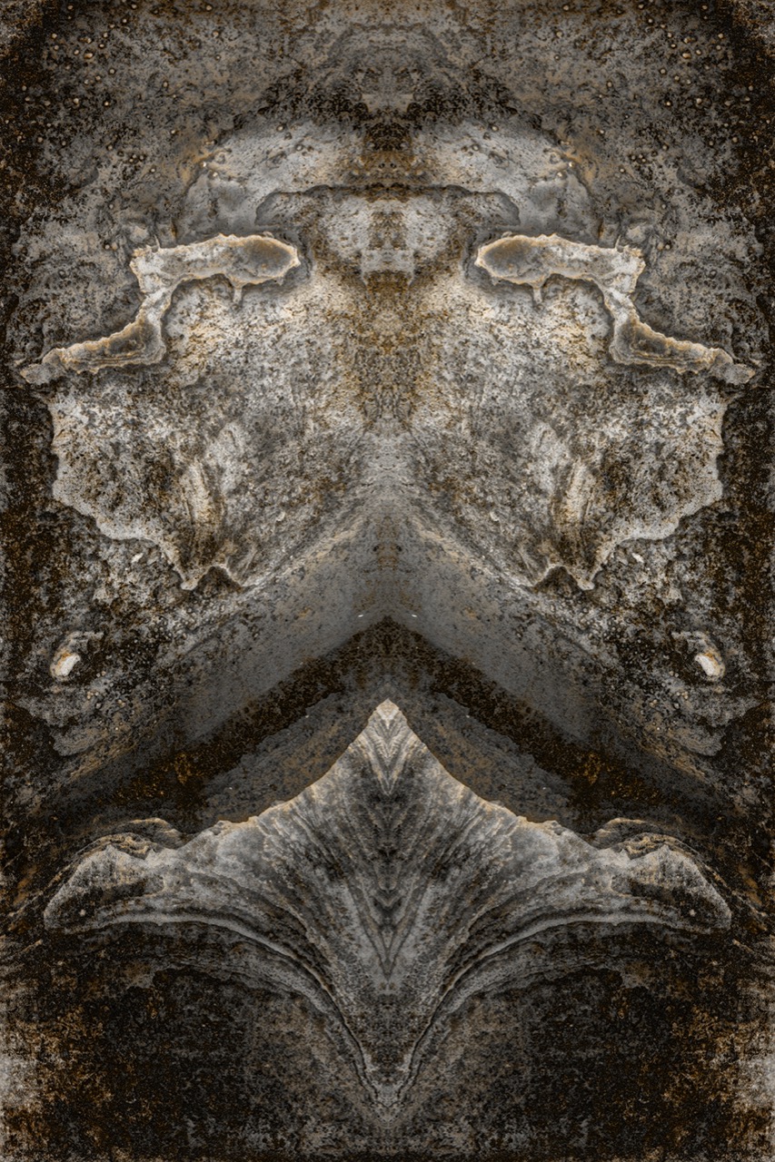 © Rodger Evans | Ultramacro Seashell Abstracts