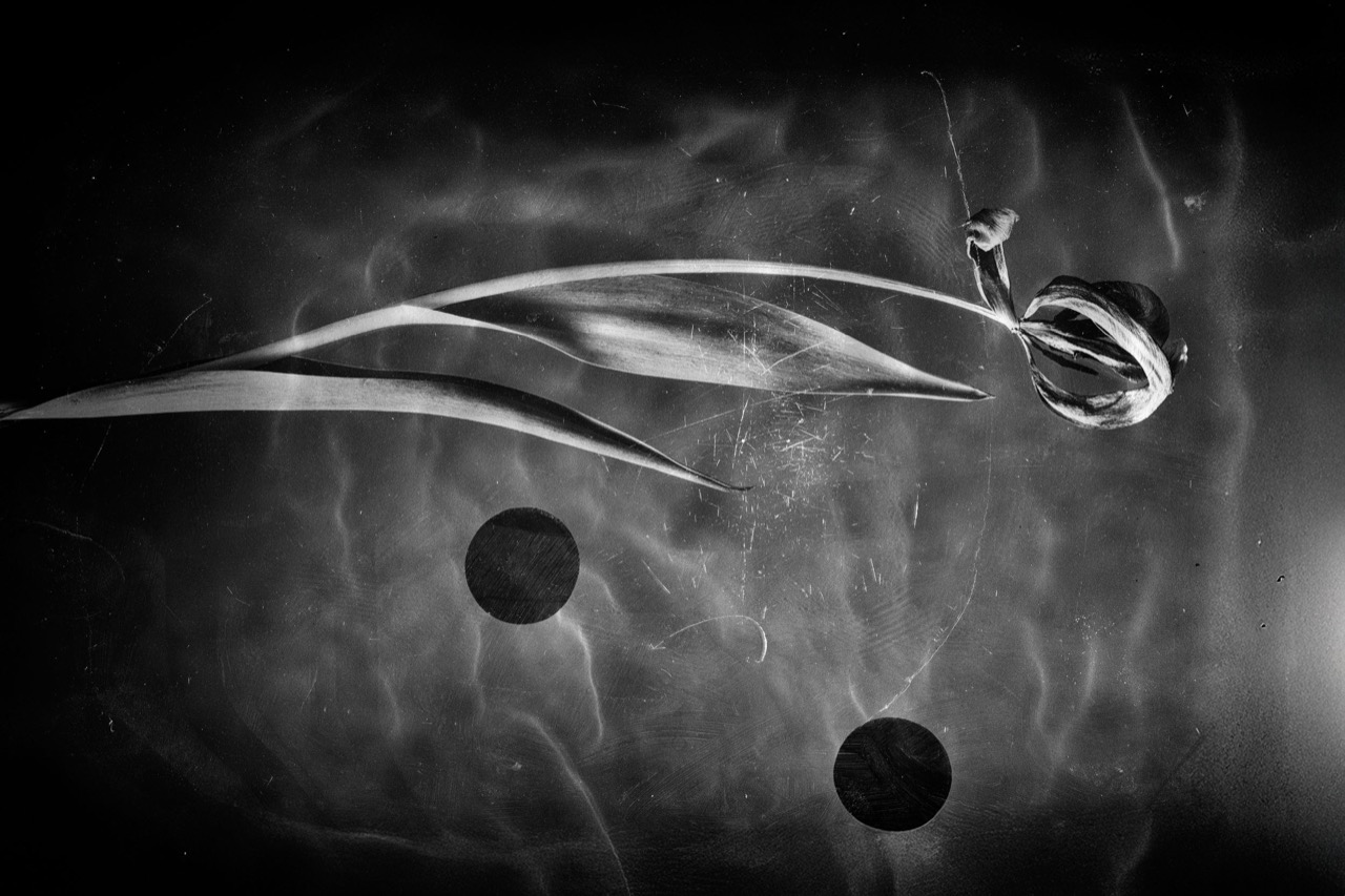 © Sander Martens | Contretemps: Moments that never synced