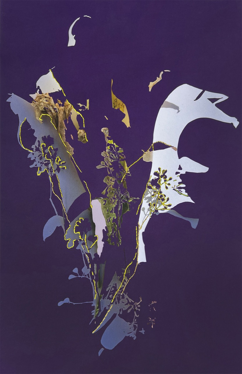 © Sandra Klein | Meeting the Shadow