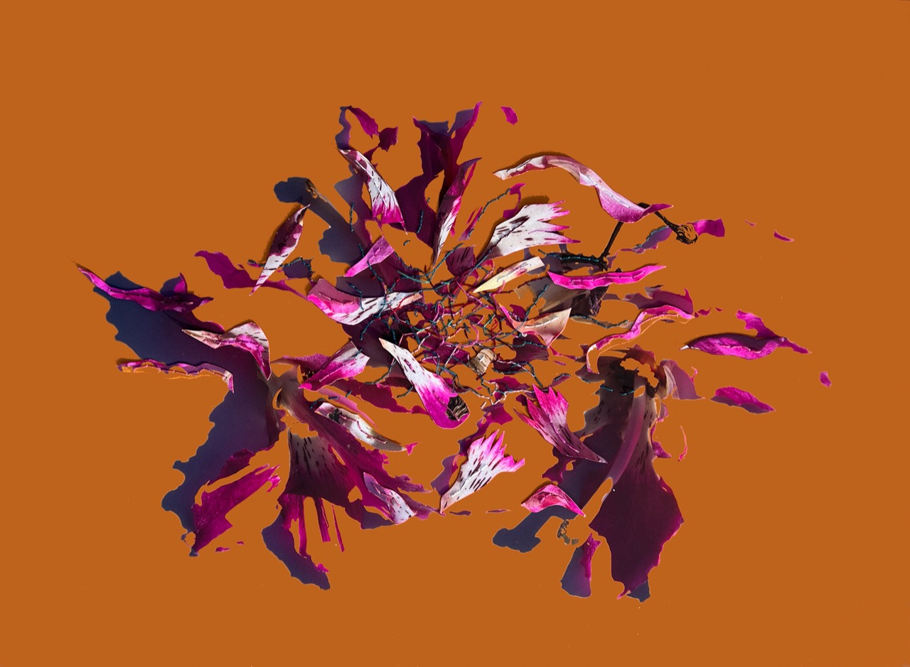 © Sandra Klein | Meeting the Shadow