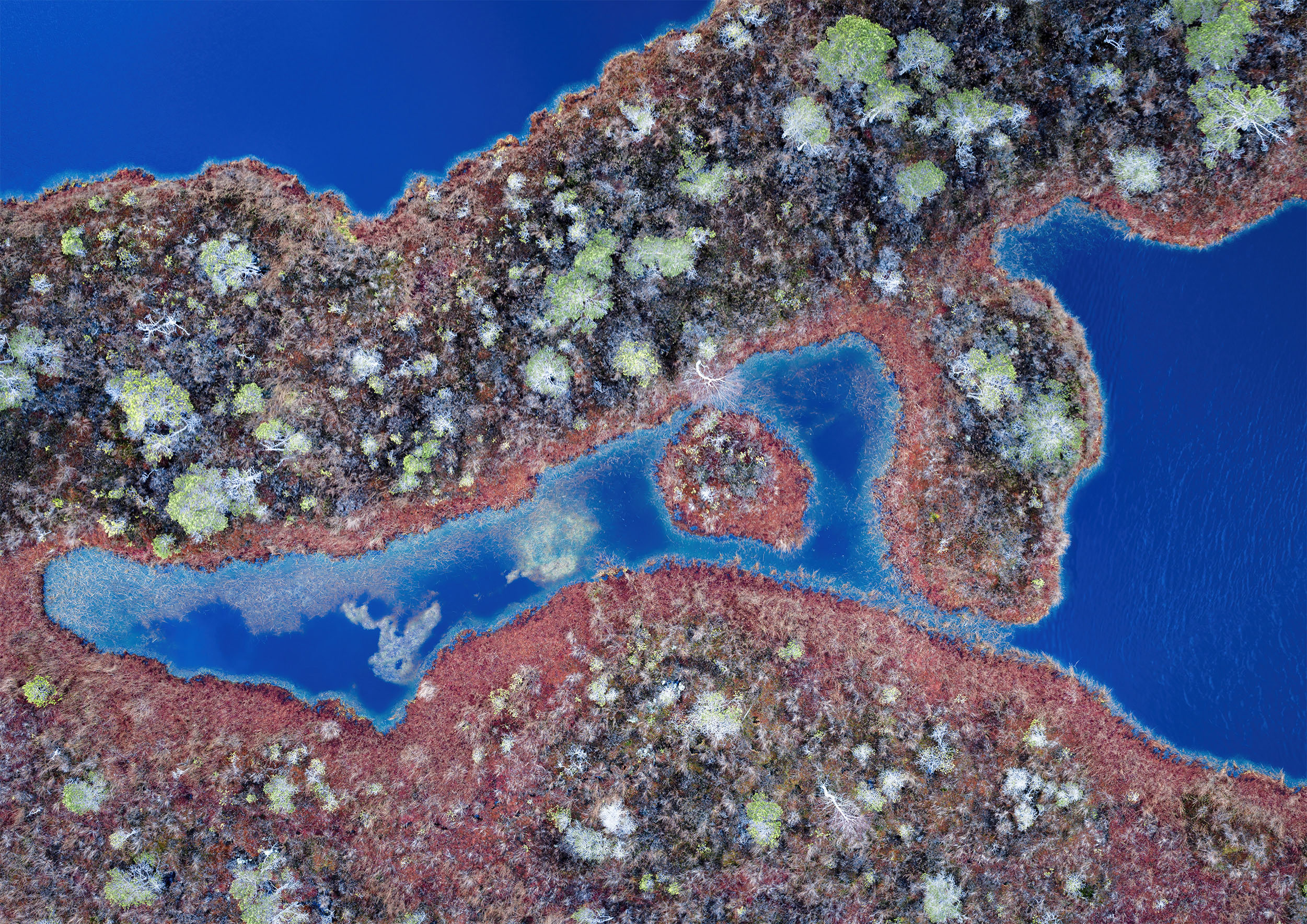 © Wladyslaw Gustynowicz | Abstract from Above