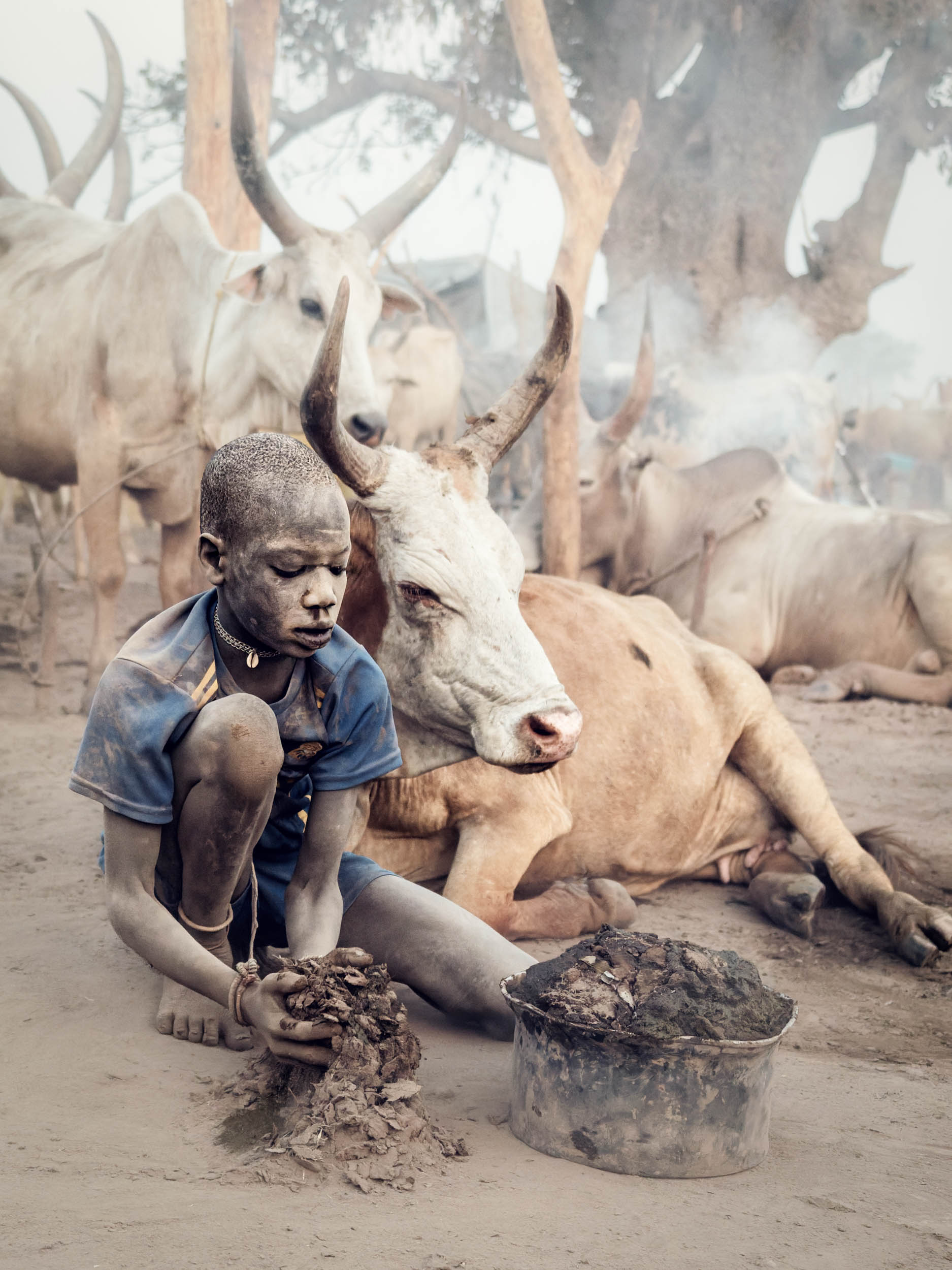 © Gabi Steiner | Among Dust and Horn