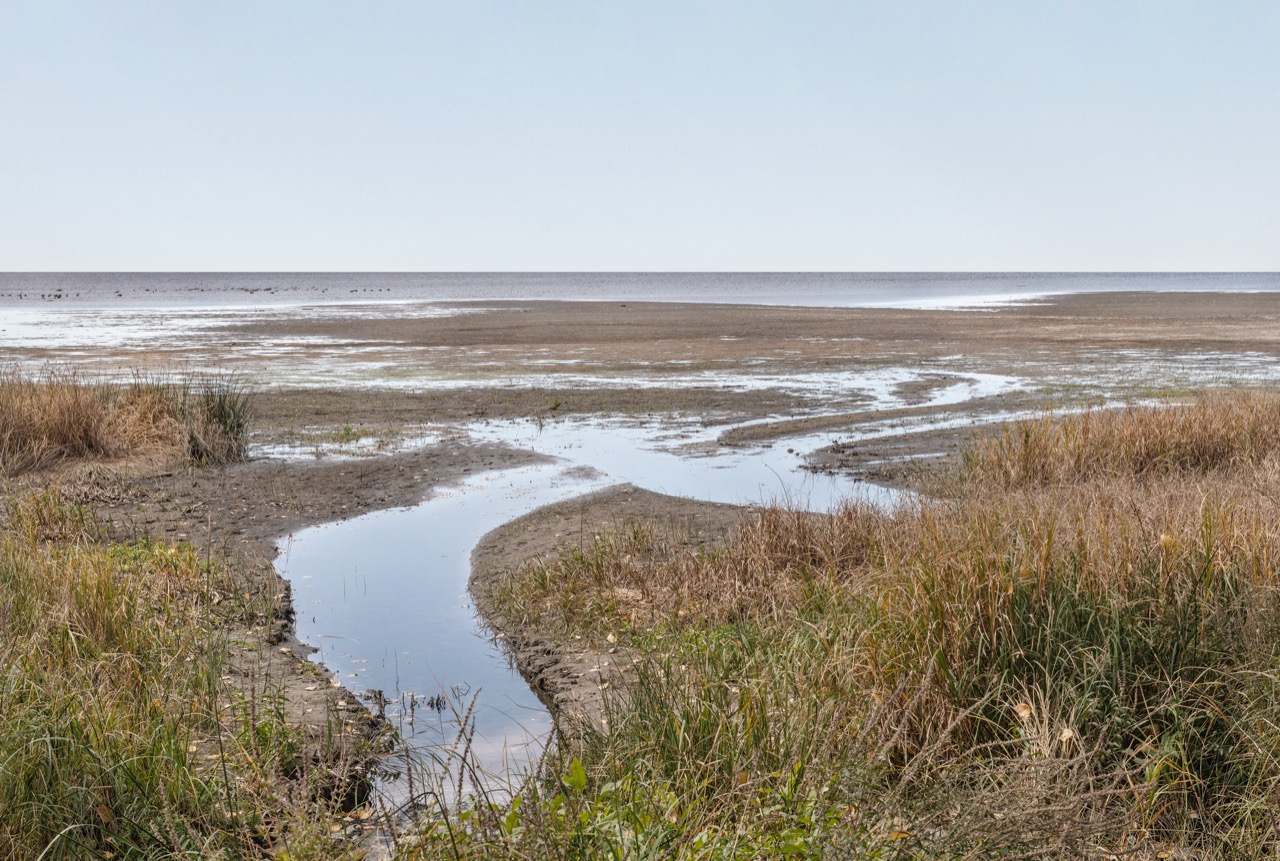 Krista Charbonneau | The Great River