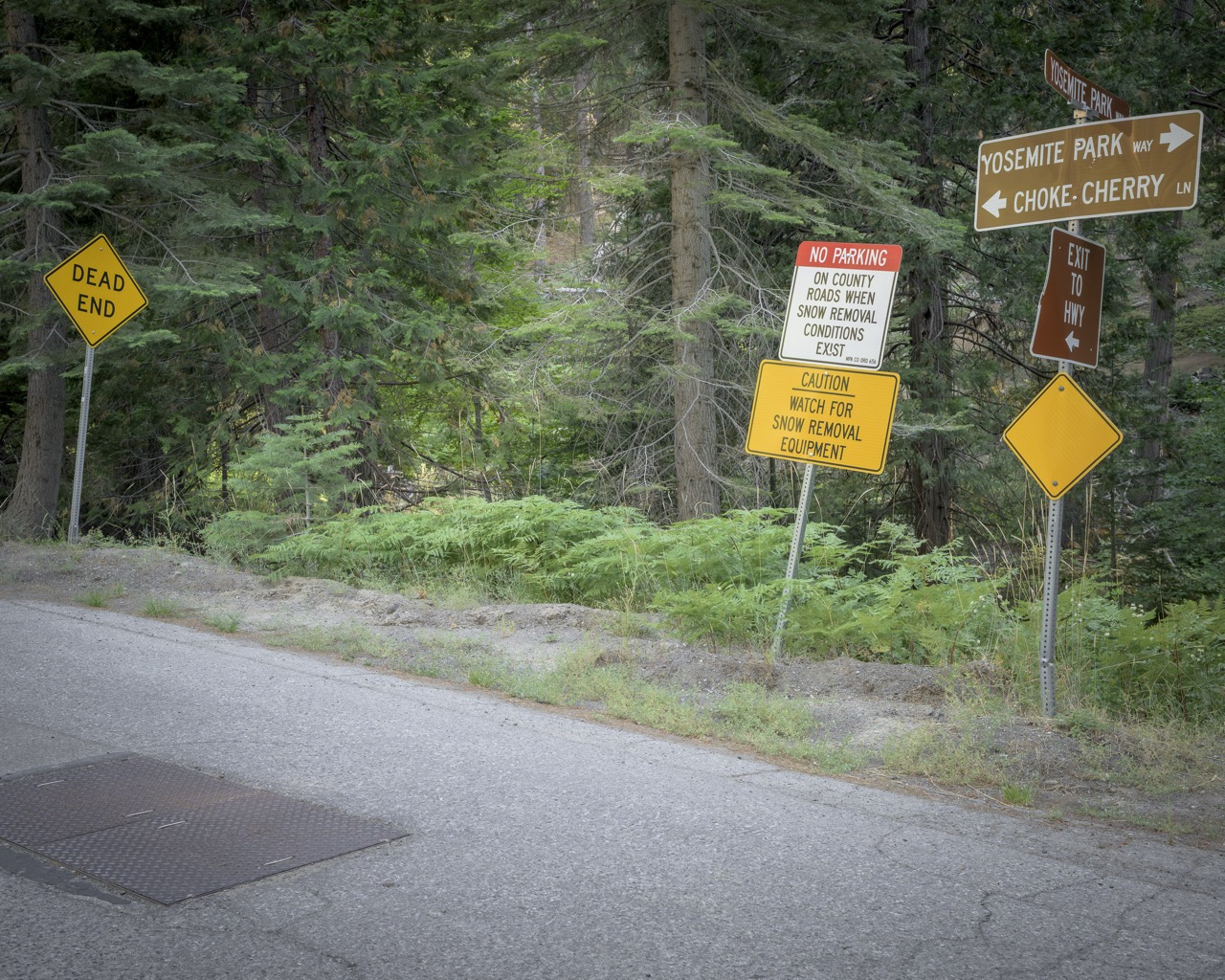 Roy Weld | No Clear Ground