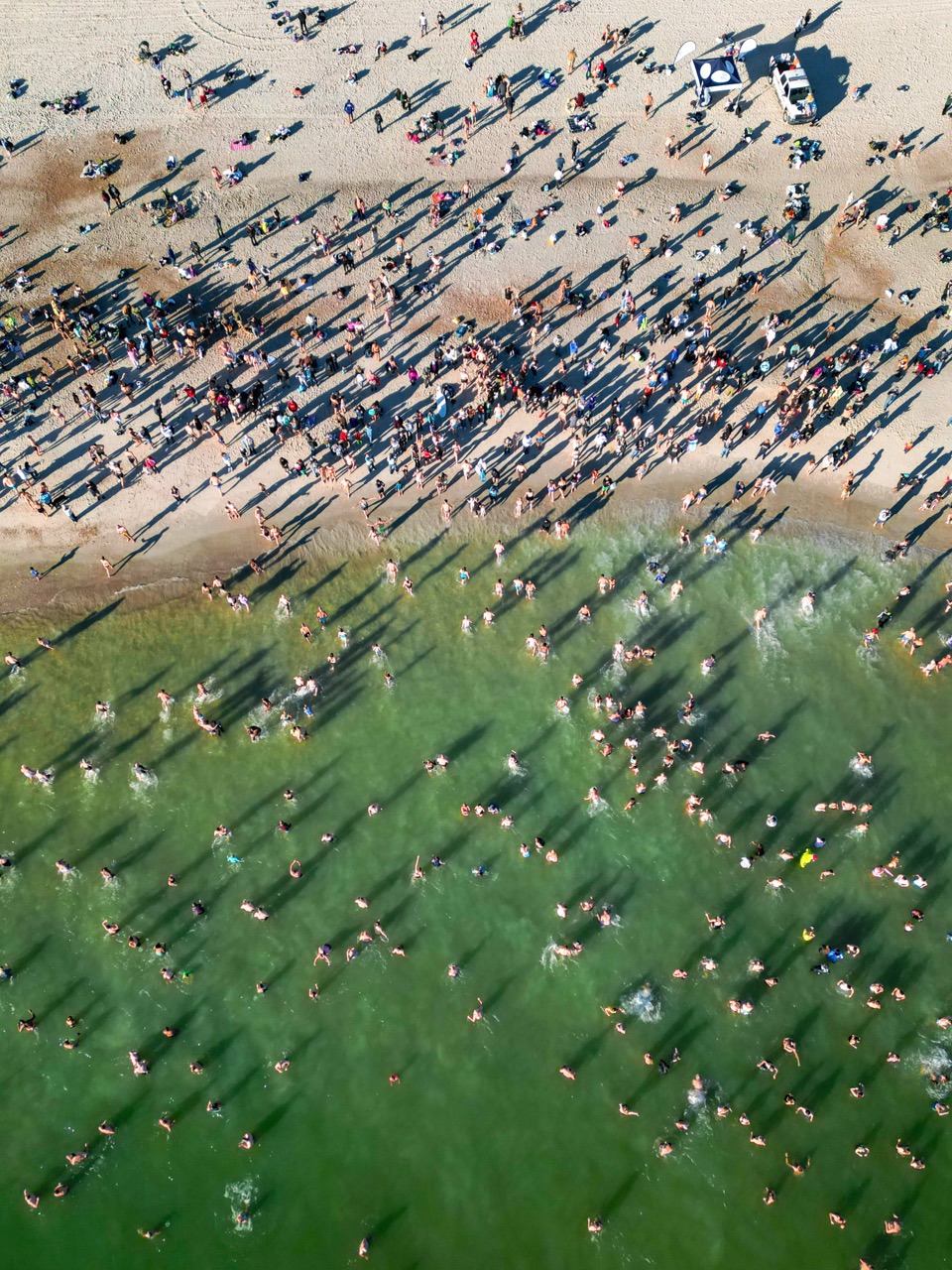 Tom Schifanella | The Geometry of Living