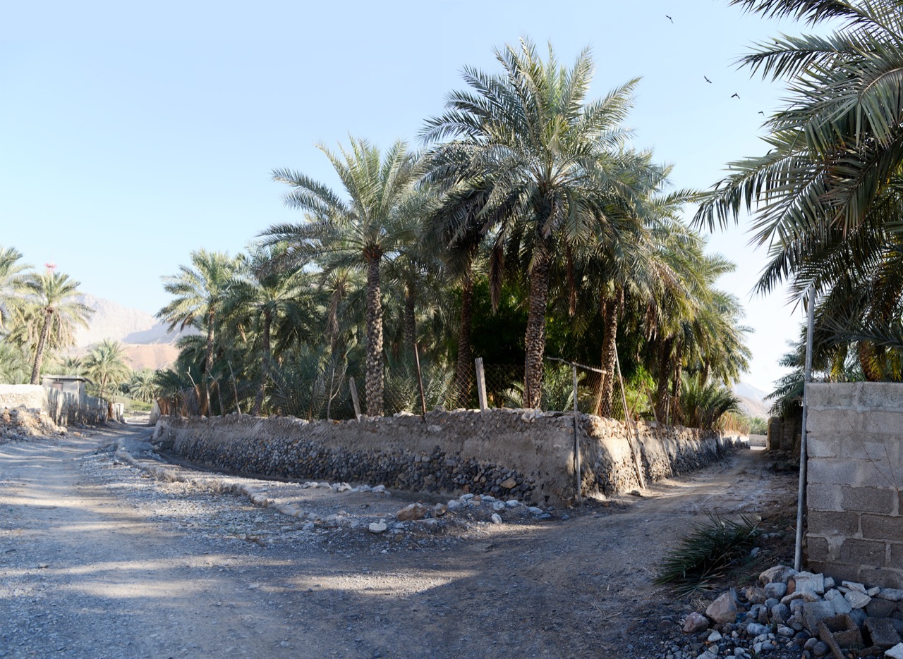 Beverly McKay | Al Jeer