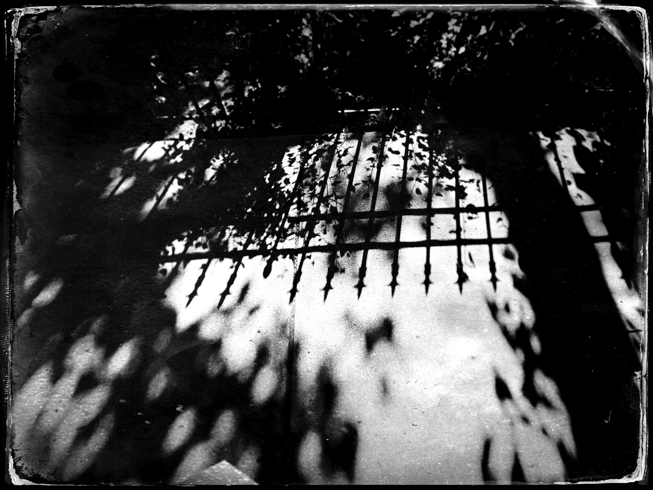Brenda Mansfield | Cast Iron, Cast Shadows