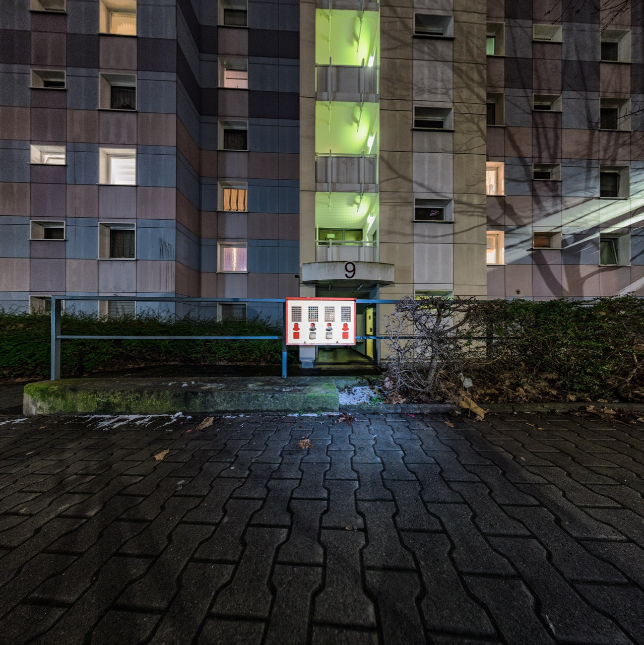 Eckart Bartnik | Disenchantment