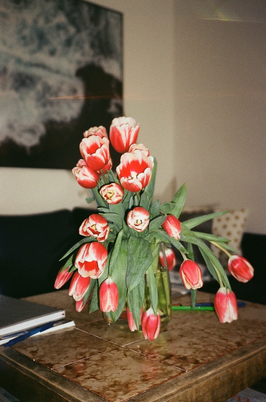 Joanna Smieja | The Long Indoors