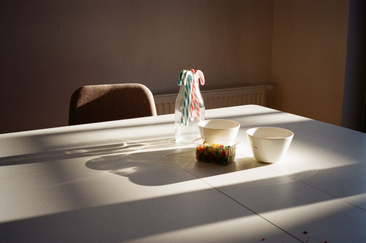 Joanna Smieja | The Long Indoors