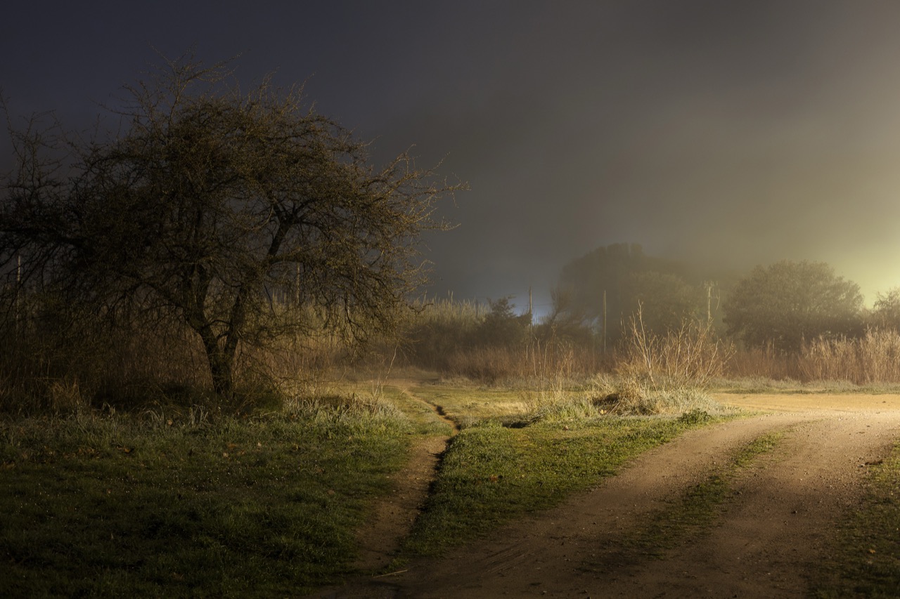 Miguel Soria Jurado | An impeccable disorder