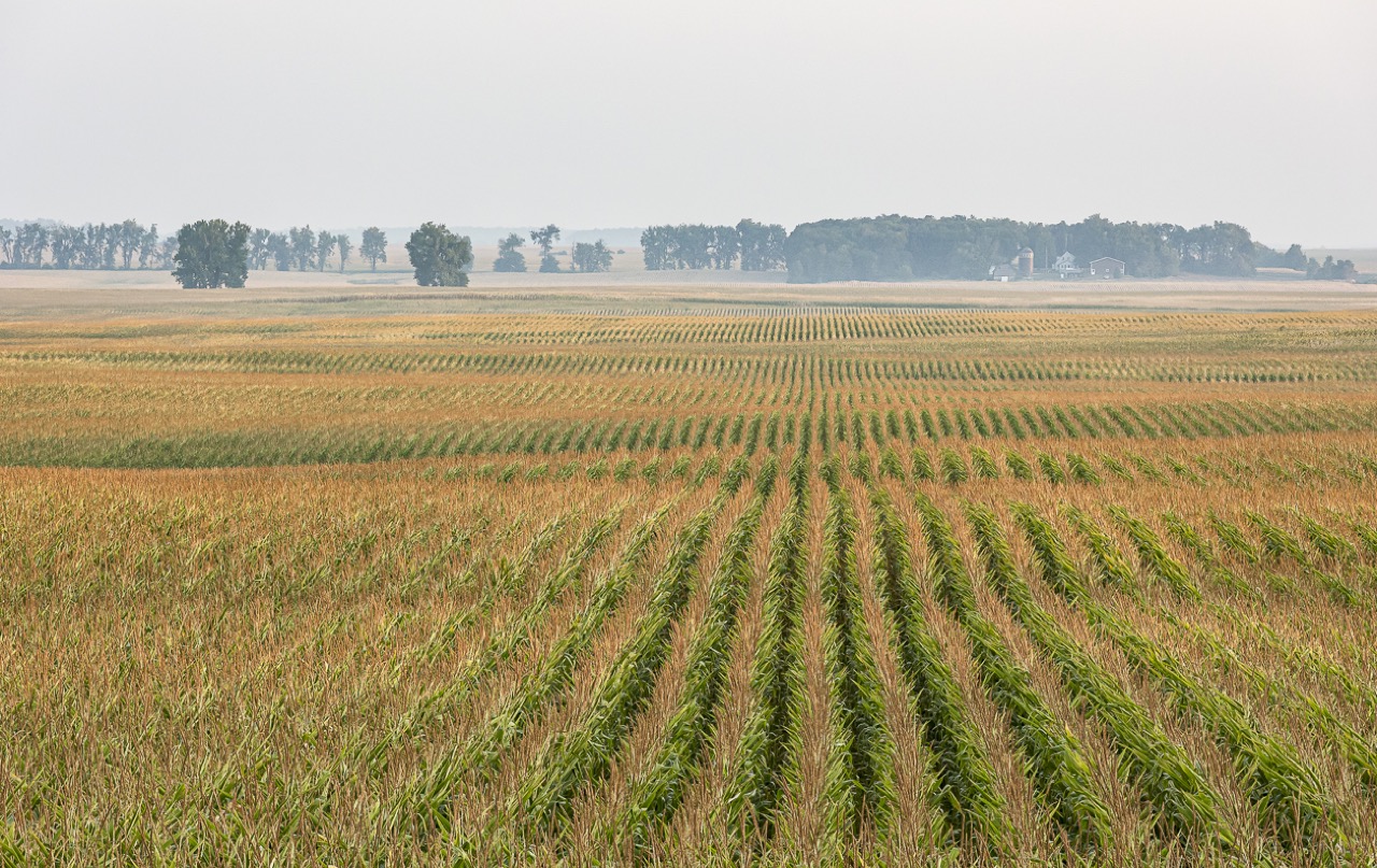 Scott and Marilyn Korsten | Payday in the Heartland