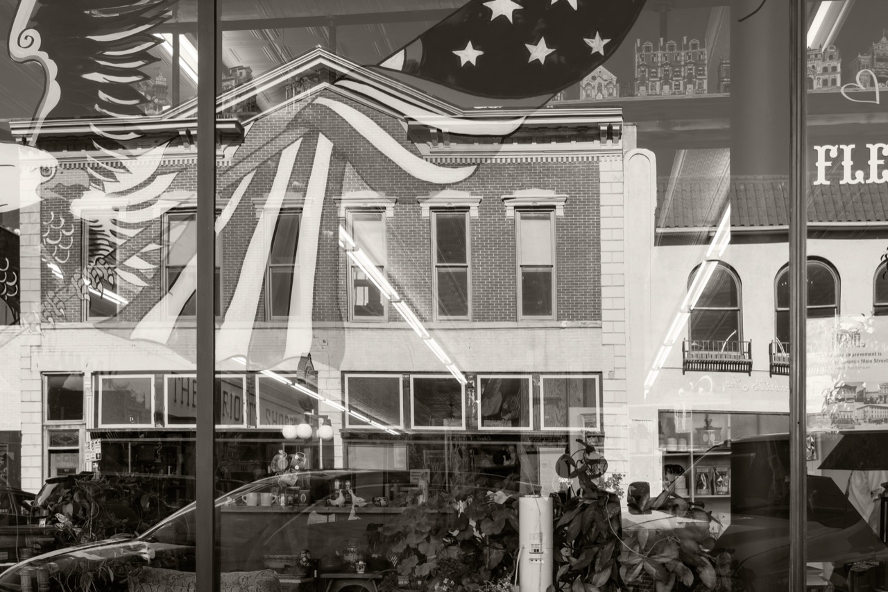 Susan Moldenhauer | Reflections