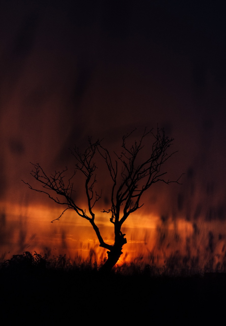 © Zoltan Tasi | Wildfire