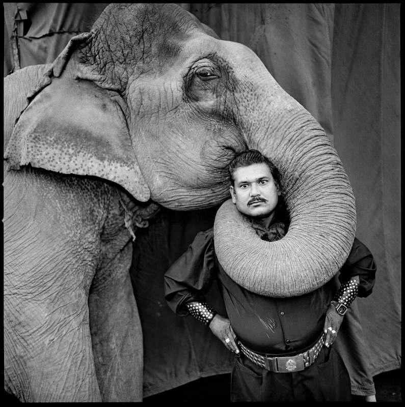 Indian Circus By Mary Ellen Mark