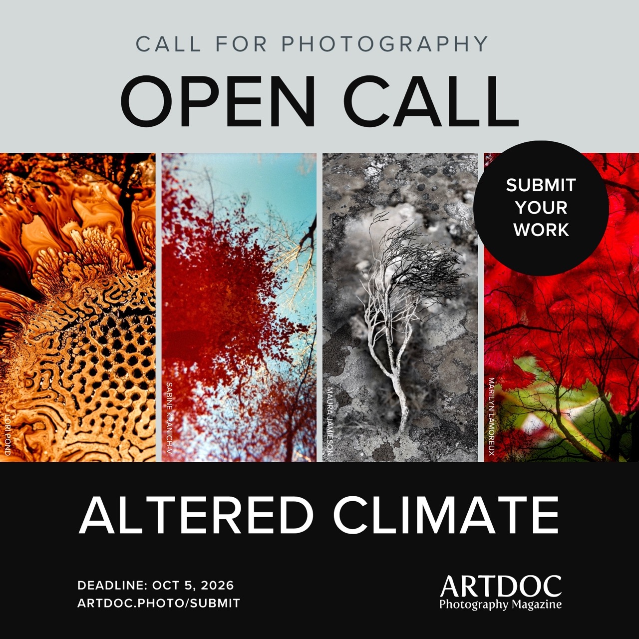 Open Call for Photographers