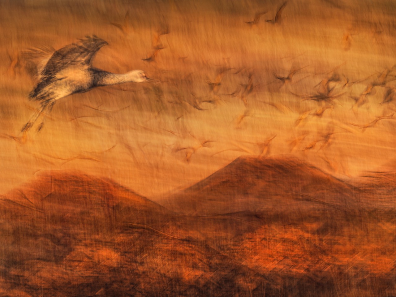 Amy Newton-McConnel | Vanishing Ground