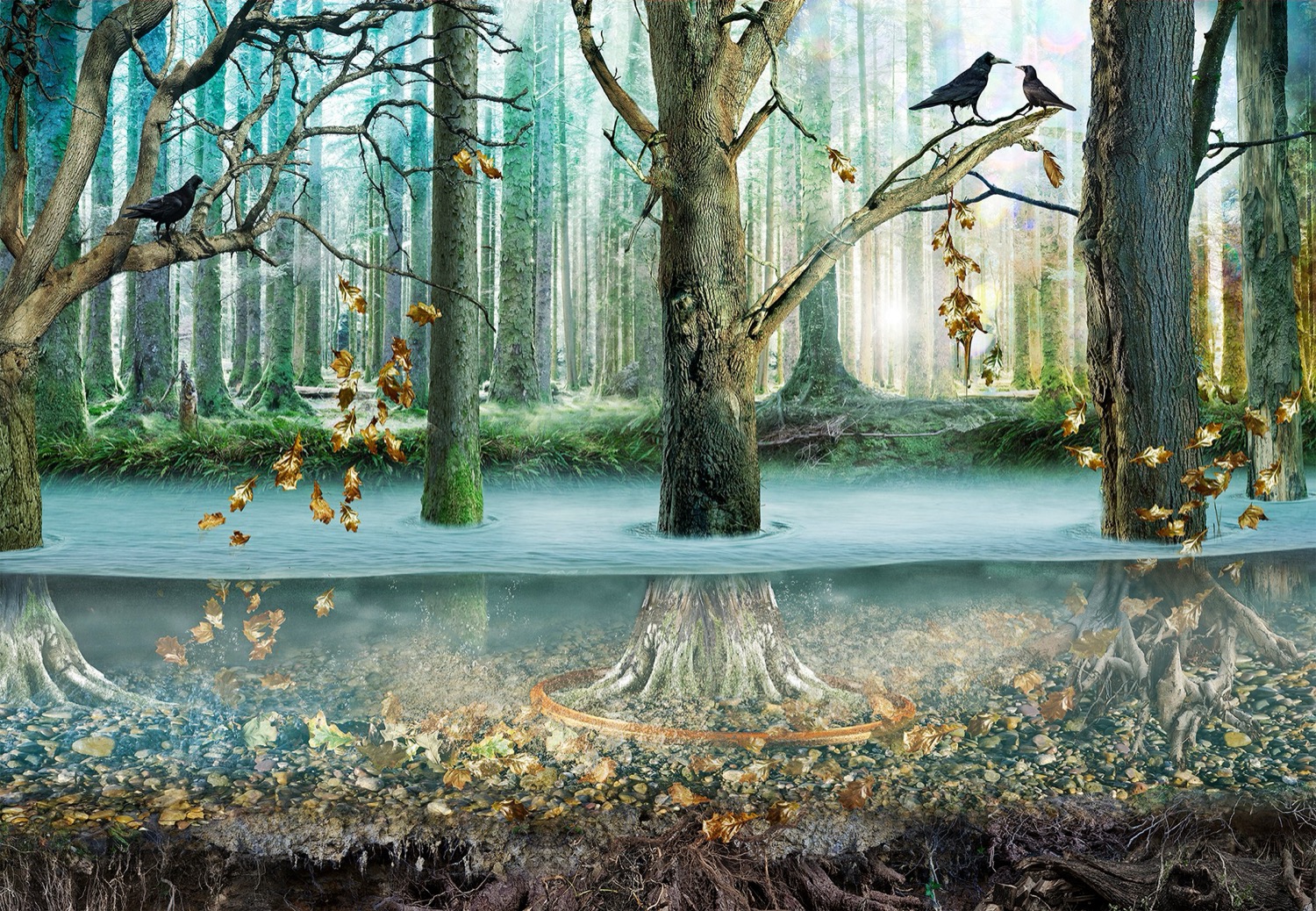 Christine Simpson | Precious Earth