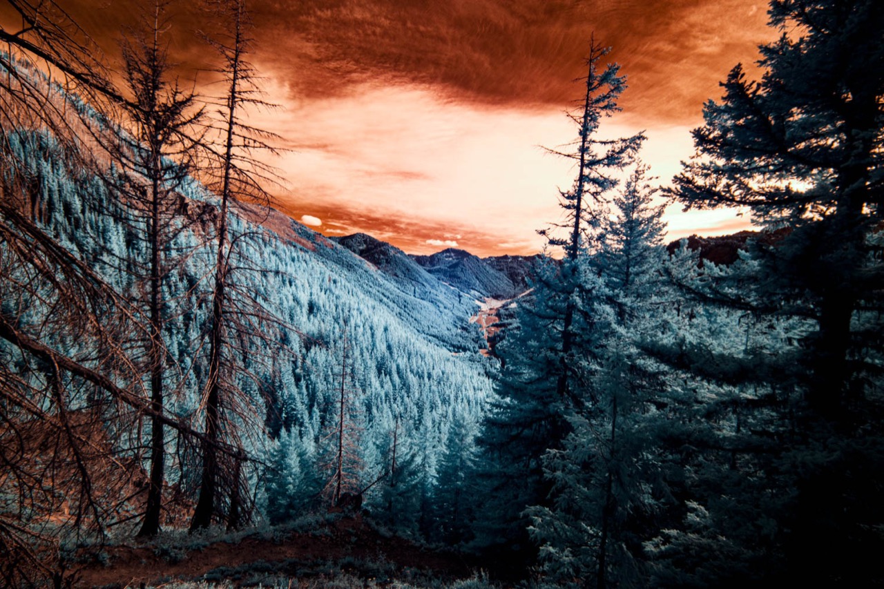 David Jacobs | Altered Norse Peak