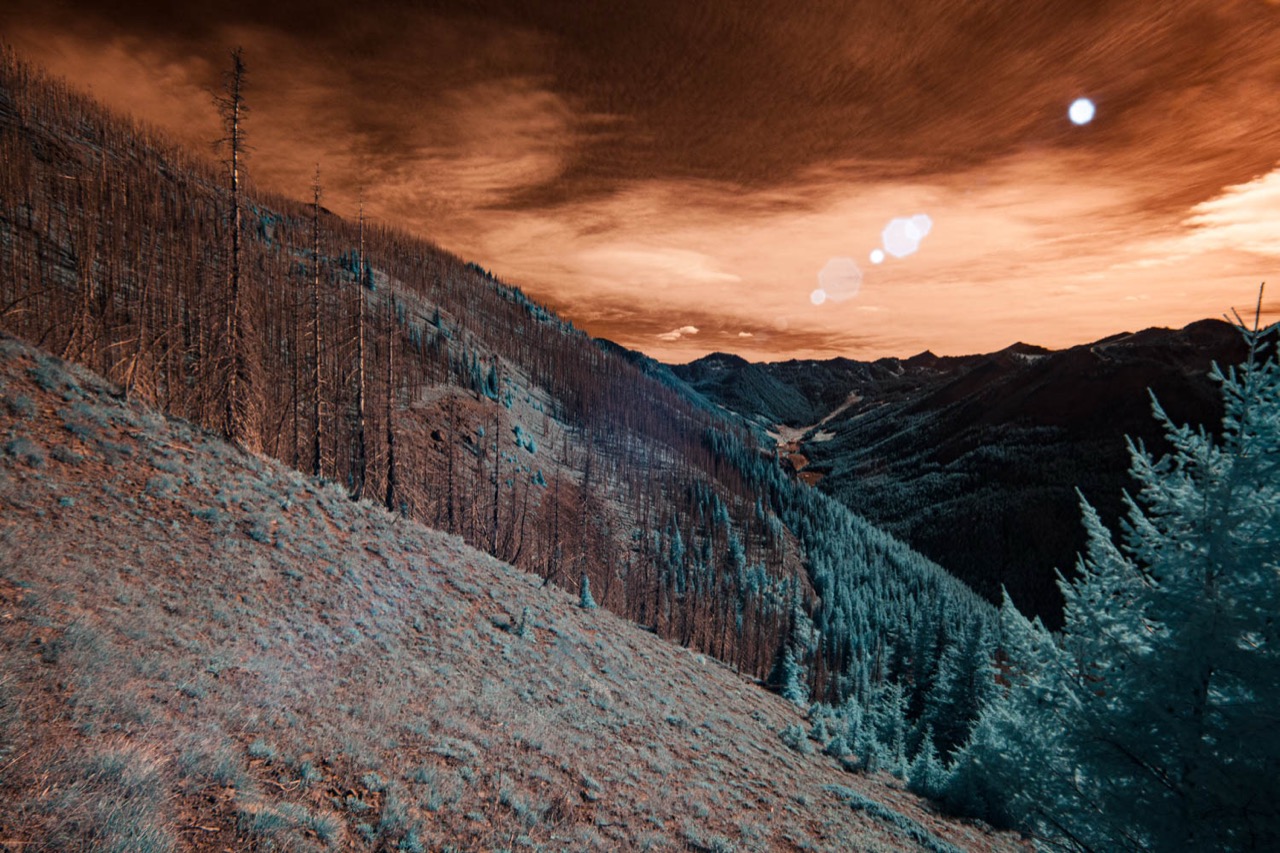 David Jacobs | Altered Norse Peak