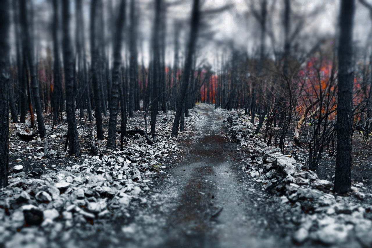 Gregor Radonjic | Kras