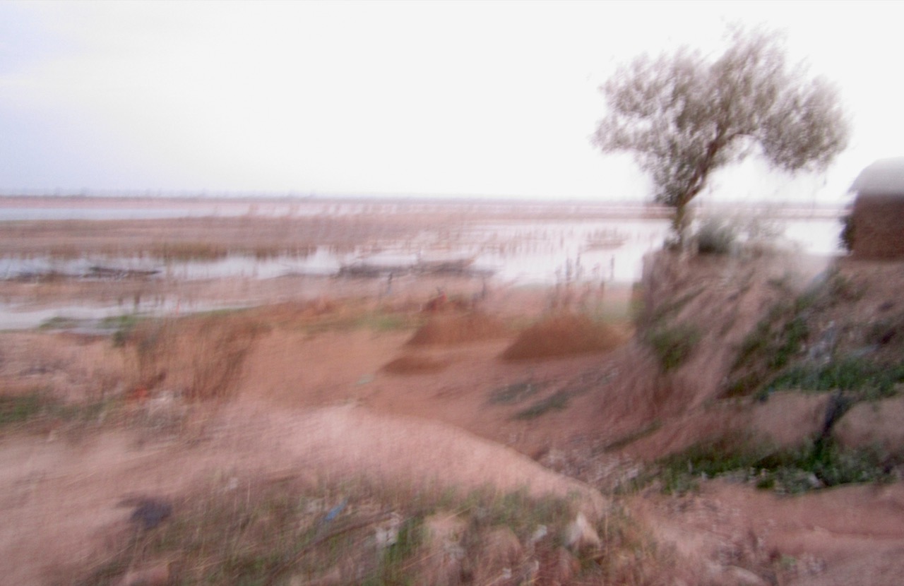 Julie Heifetz | Wind and Rain