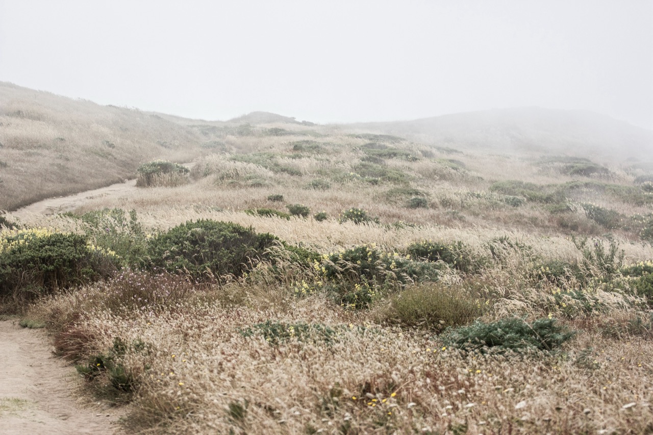 Kim Van Liefferinge | Through the Fog