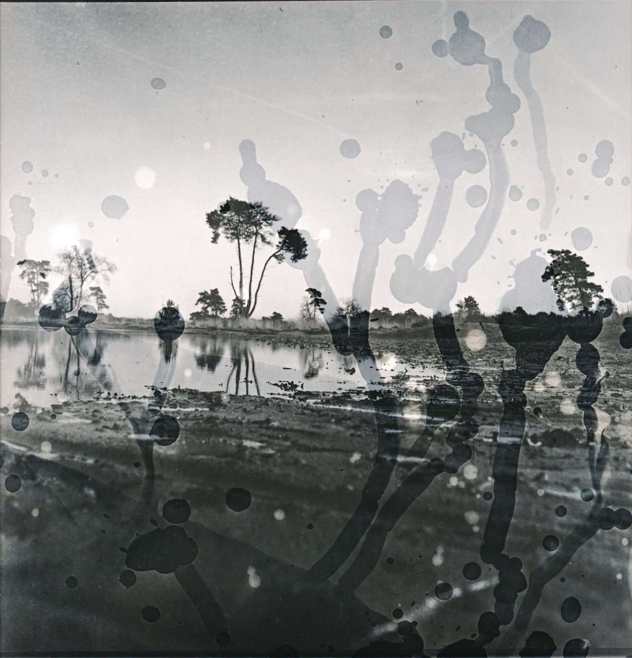 Leonie Gossens | Dunes, no sea