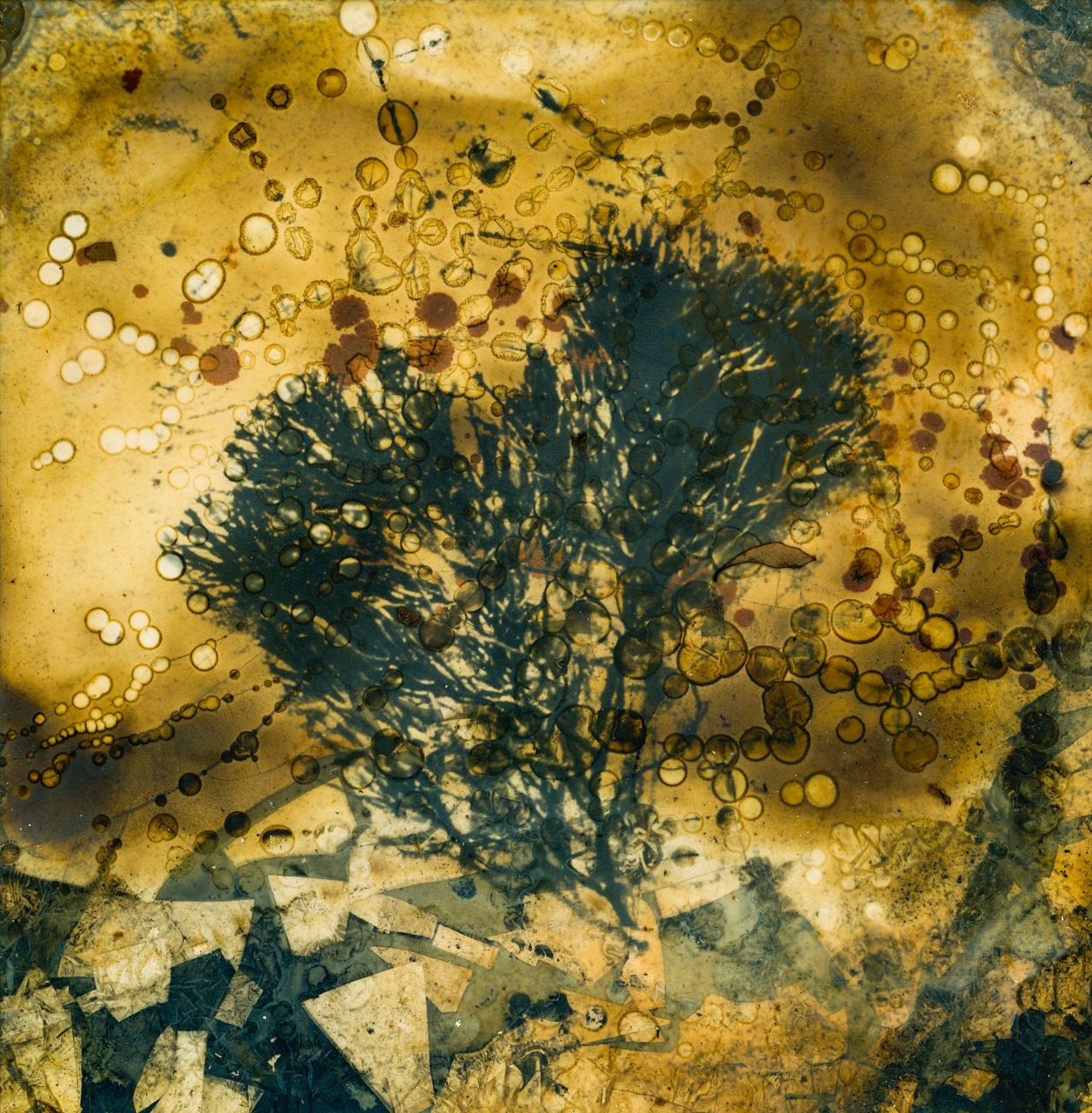 Linda Jarrett | Tides of Change