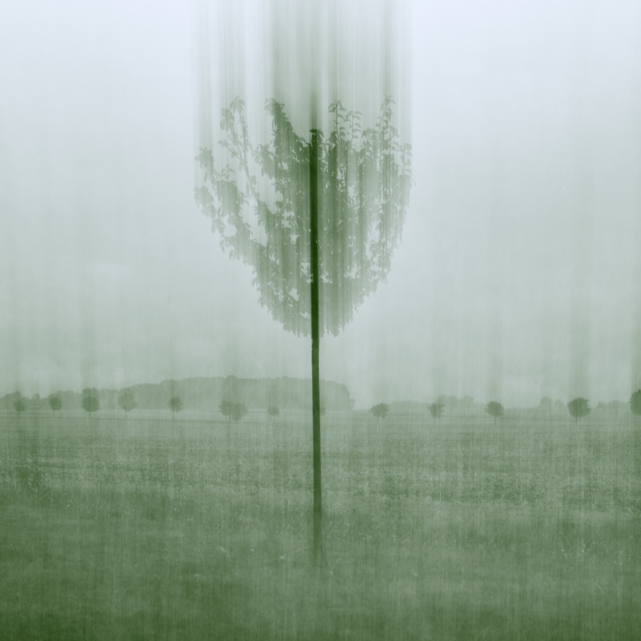 Marcel van Beek | After Green | The Land Unravels