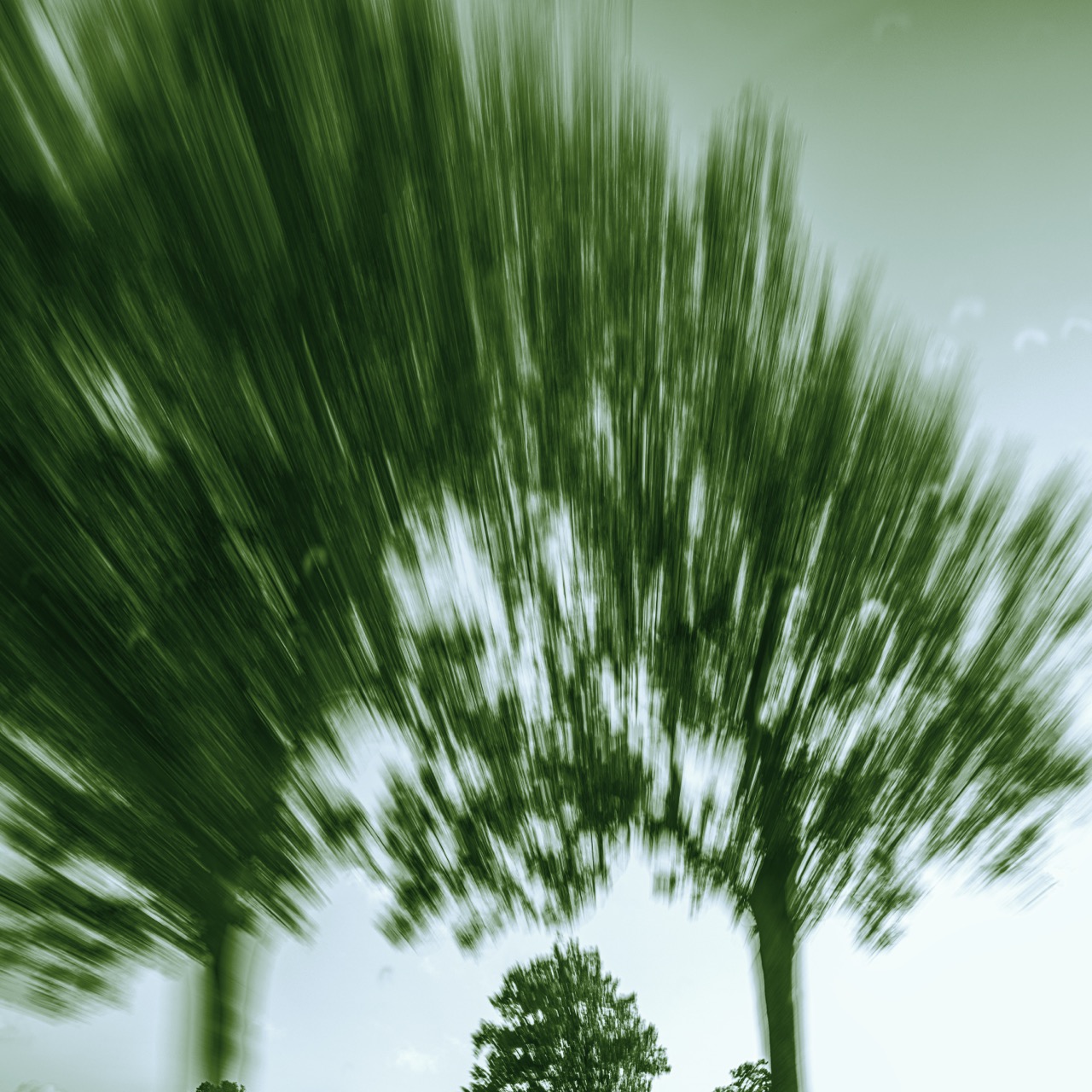 Marcel van Beek | After Green | The Land Unravels
