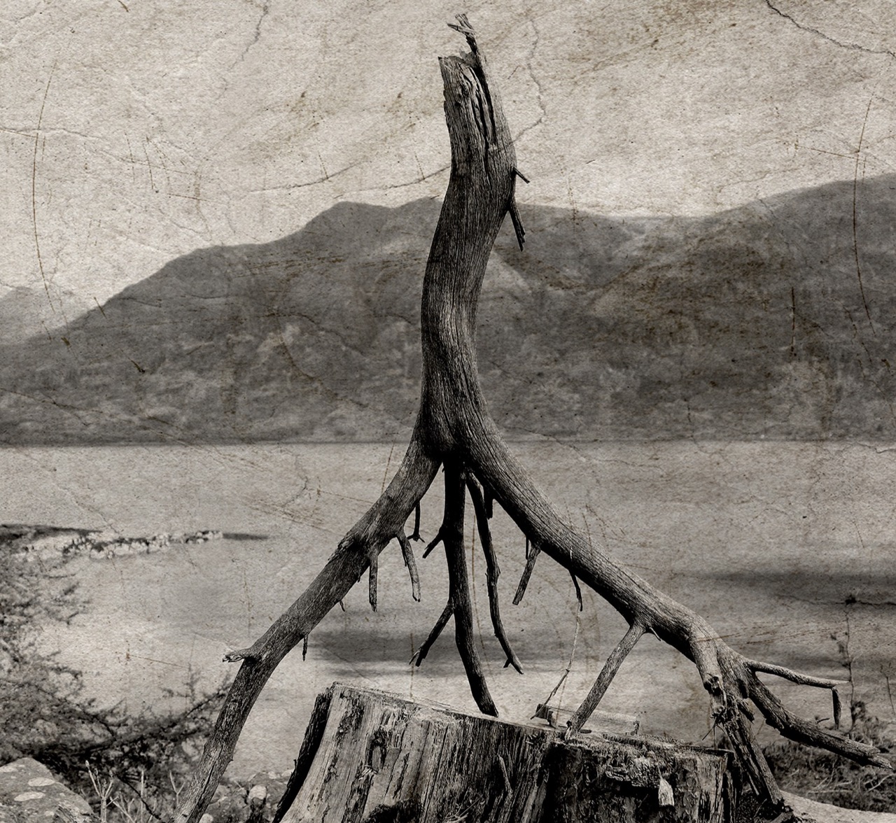 Maura Jamieson | Torridon
