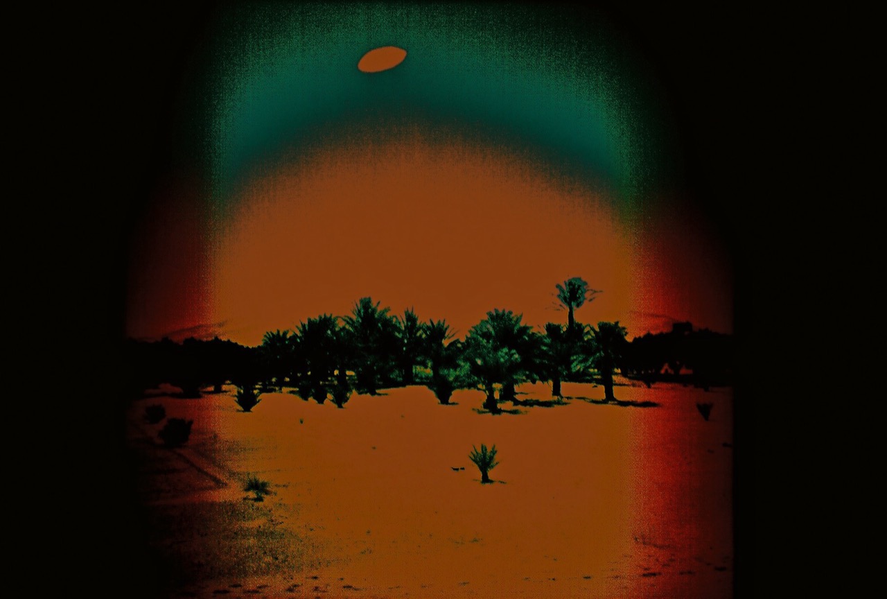 Nina Golob | Altered by Heat