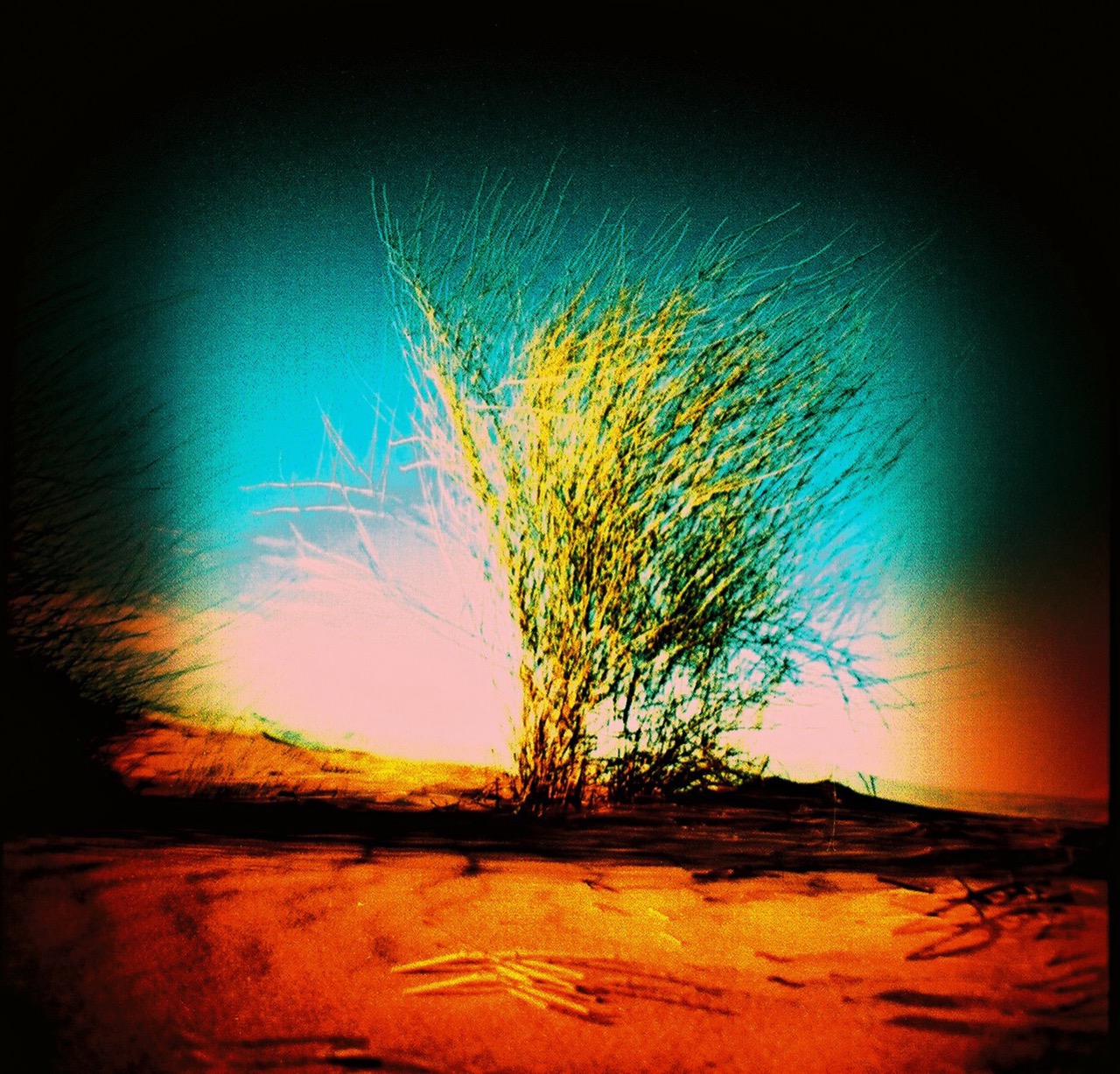 Nina Golob | Altered by Heat