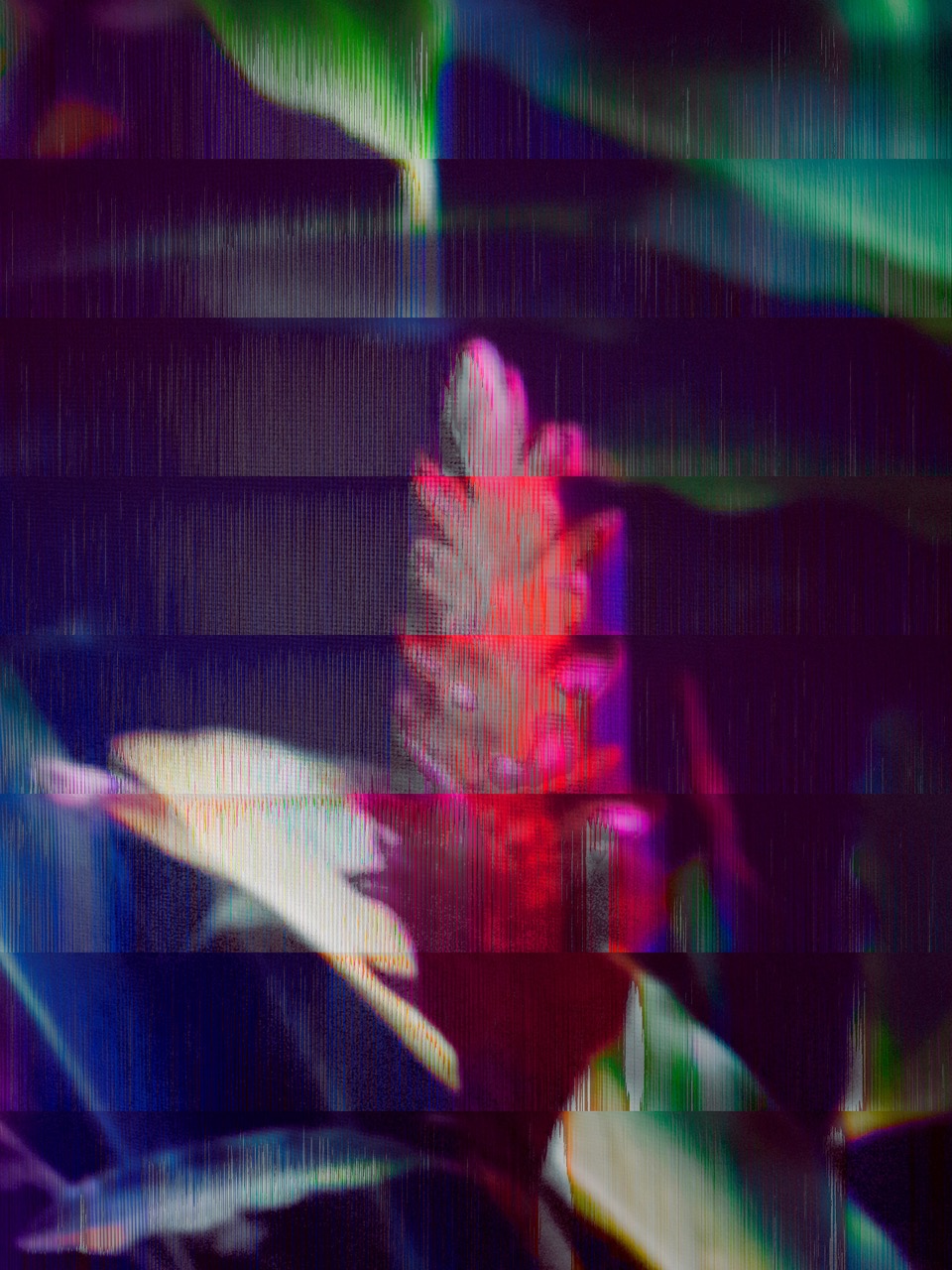 Patrícia Abreu | Encoded Nature
