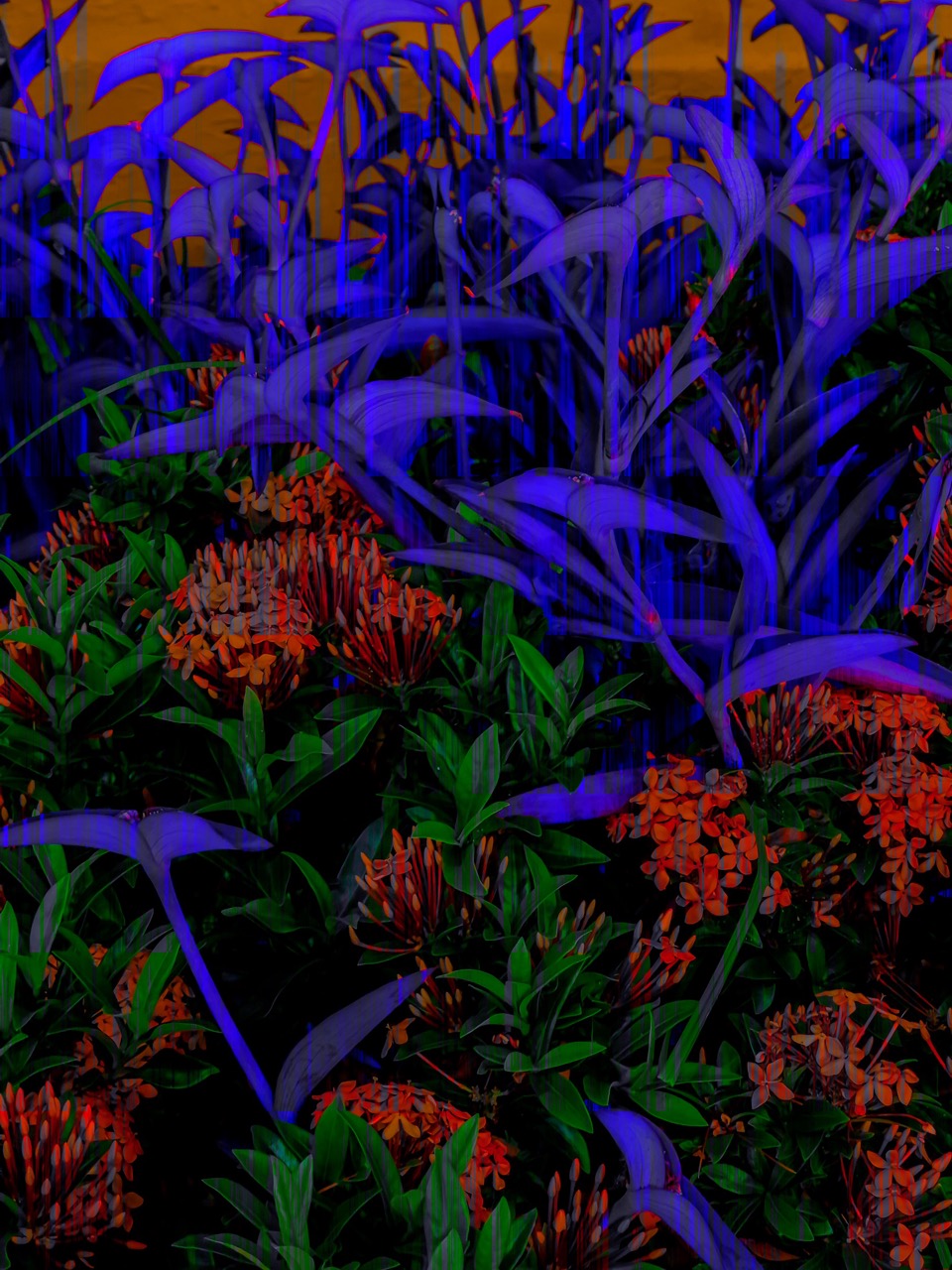 Patrícia Abreu | Encoded Nature
