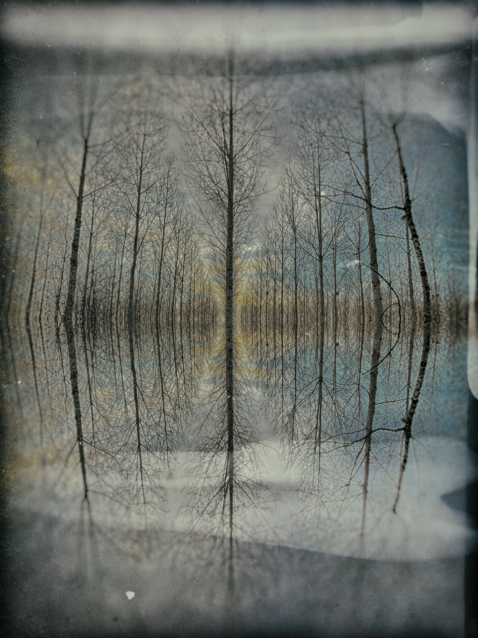 Philippe Gillotte | Living Waters, Submerged Lands / The Memory of Floods