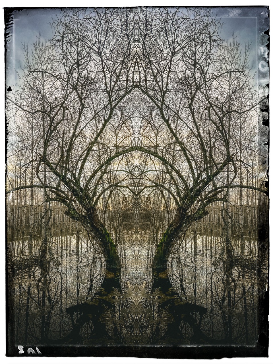 Philippe Gillotte | Living Waters, Submerged Lands / The Memory of Floods