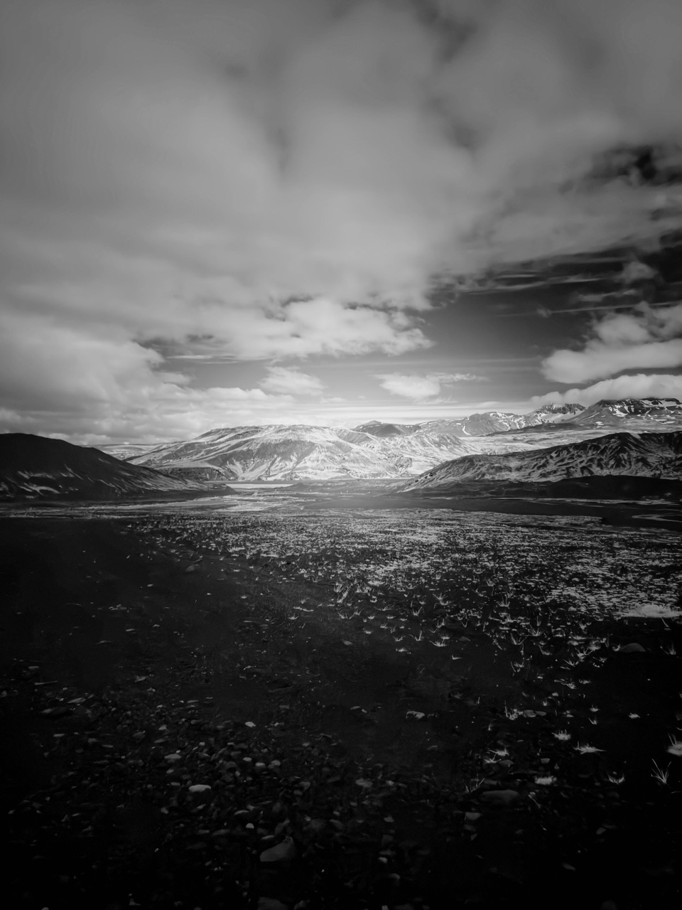 Susan Weiss | Iceland Altered