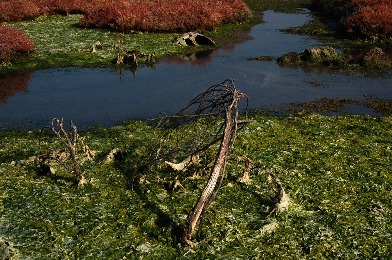 Suzan Orhan | The Anthropocene Age