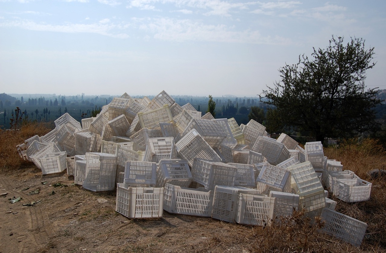 Suzan Orhan | The Anthropocene Age