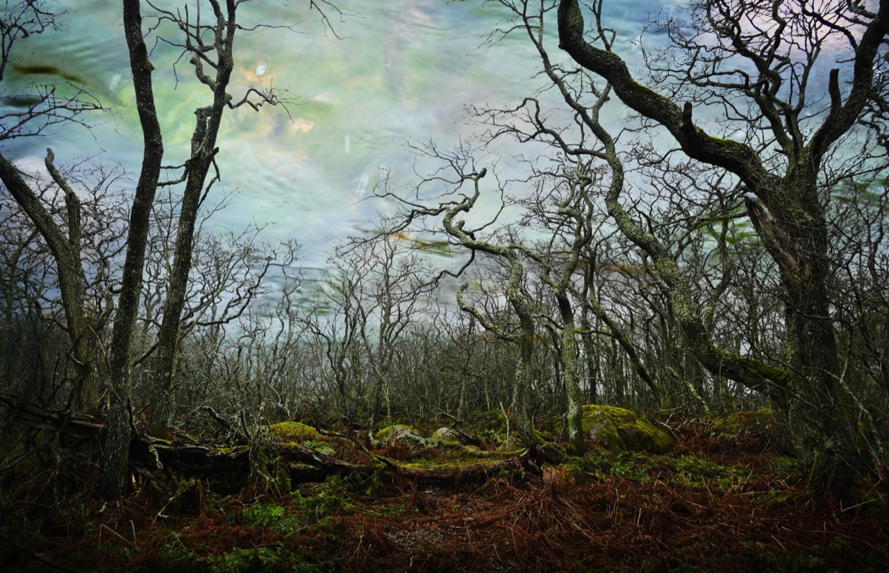 Tuulevi Aaltonen | Weathered Memory