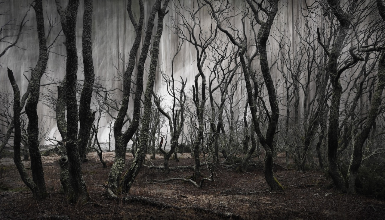 Tuulevi Aaltonen | Weathered Memory