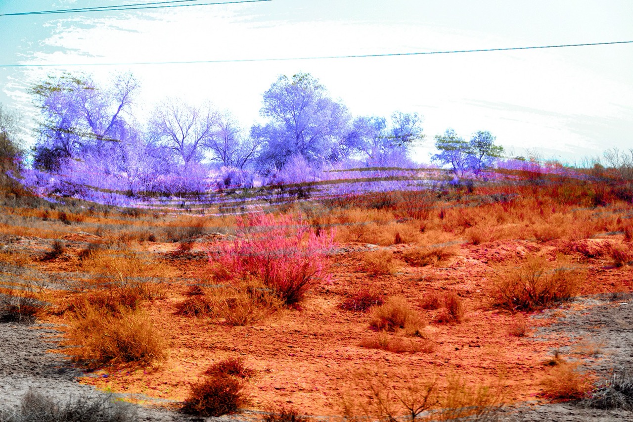 Vivi Andreadou | Graveyard Of A Vanished Sea