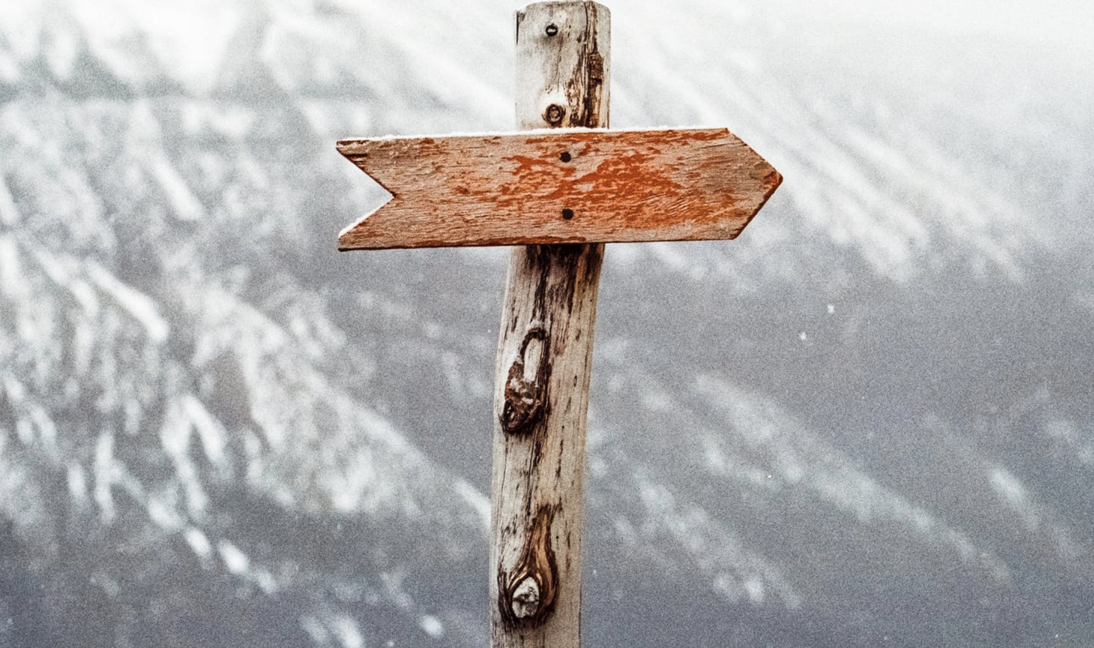 A Complete Lead Generation Guide for Sales Professionals