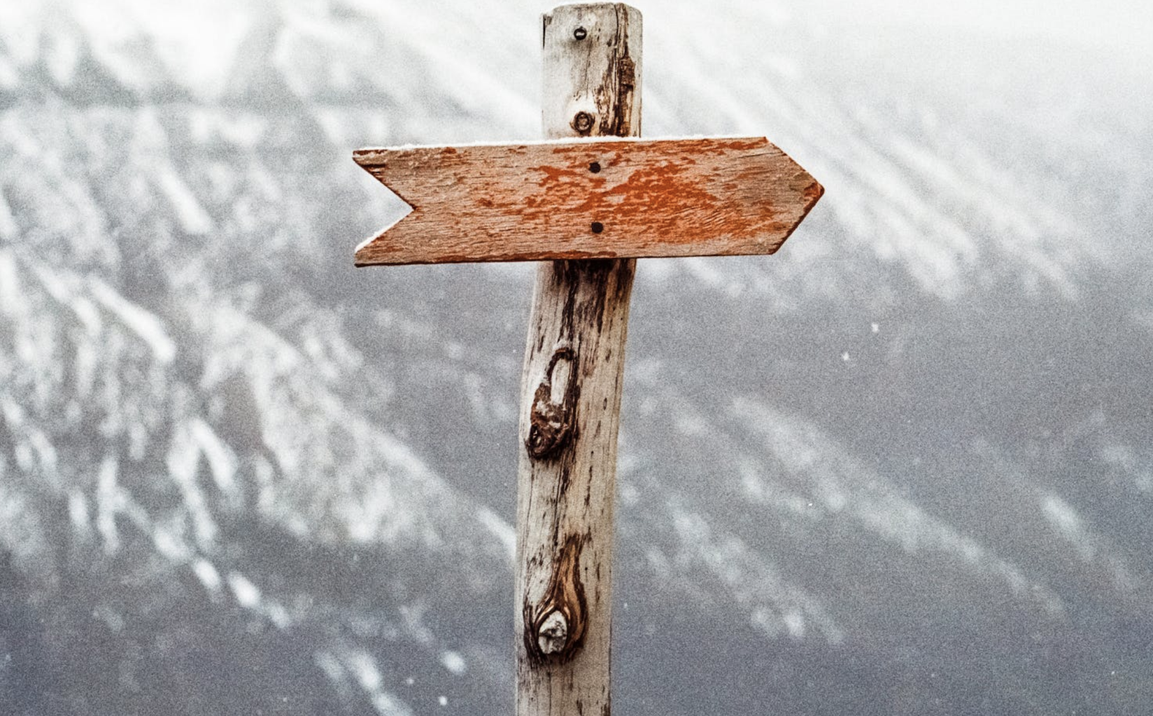 sales lead generation