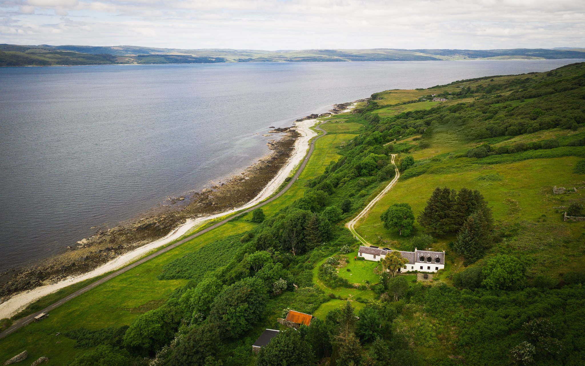 Minuntion flowers on hilltop